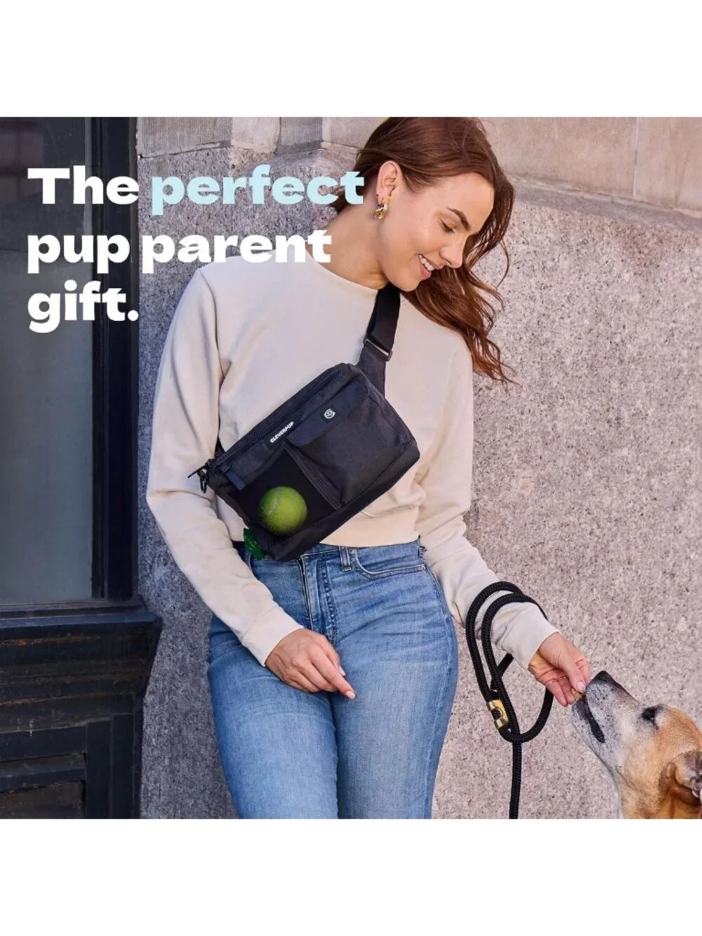 Hands-Free 2-in-1 Dog Walking Bag - Versatile, Stylish, Graphite Color